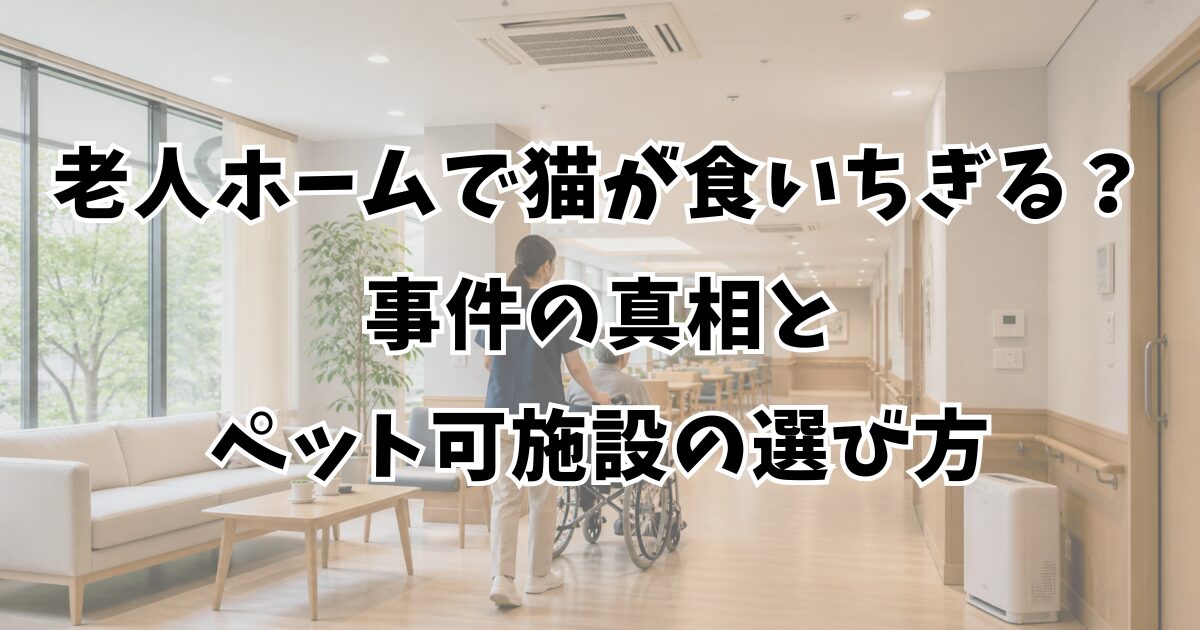老人ホームで猫が食いちぎる？事件の真相とペット可施設の選び方